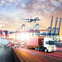 Trans Freight Global