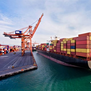 Trans Freight Global